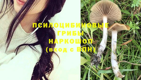 spice Волосово