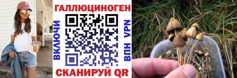 Галлюциногенные грибы MAGIC MUSHROOMS  Южа 